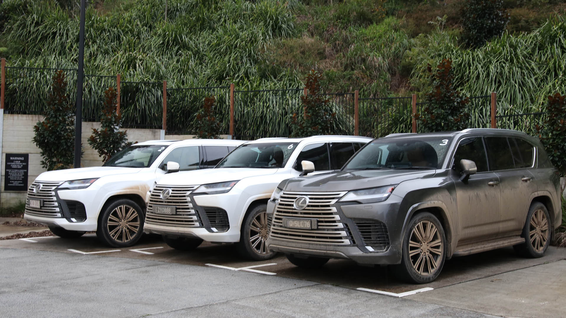 LX Drive Day