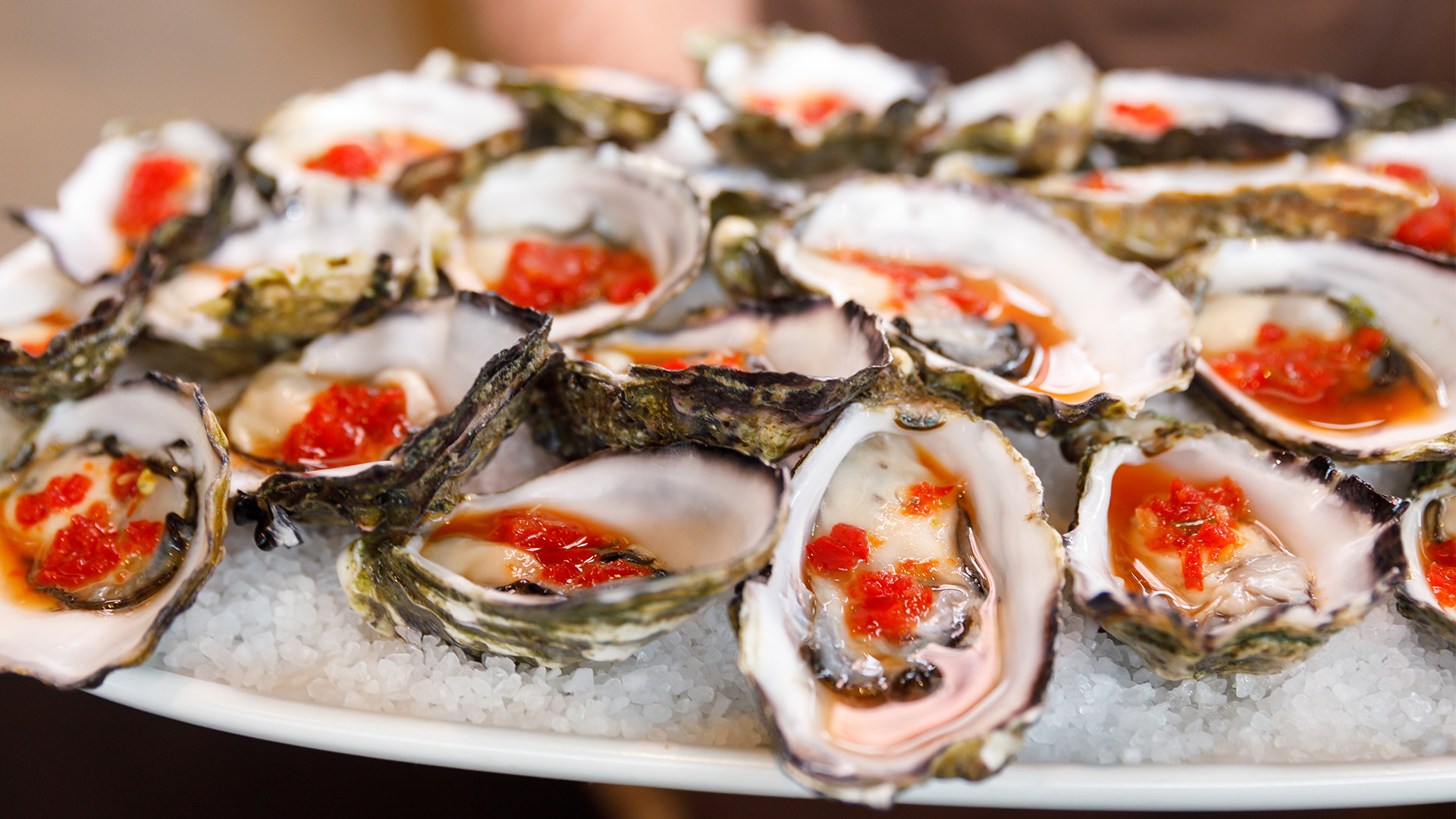 Oysters