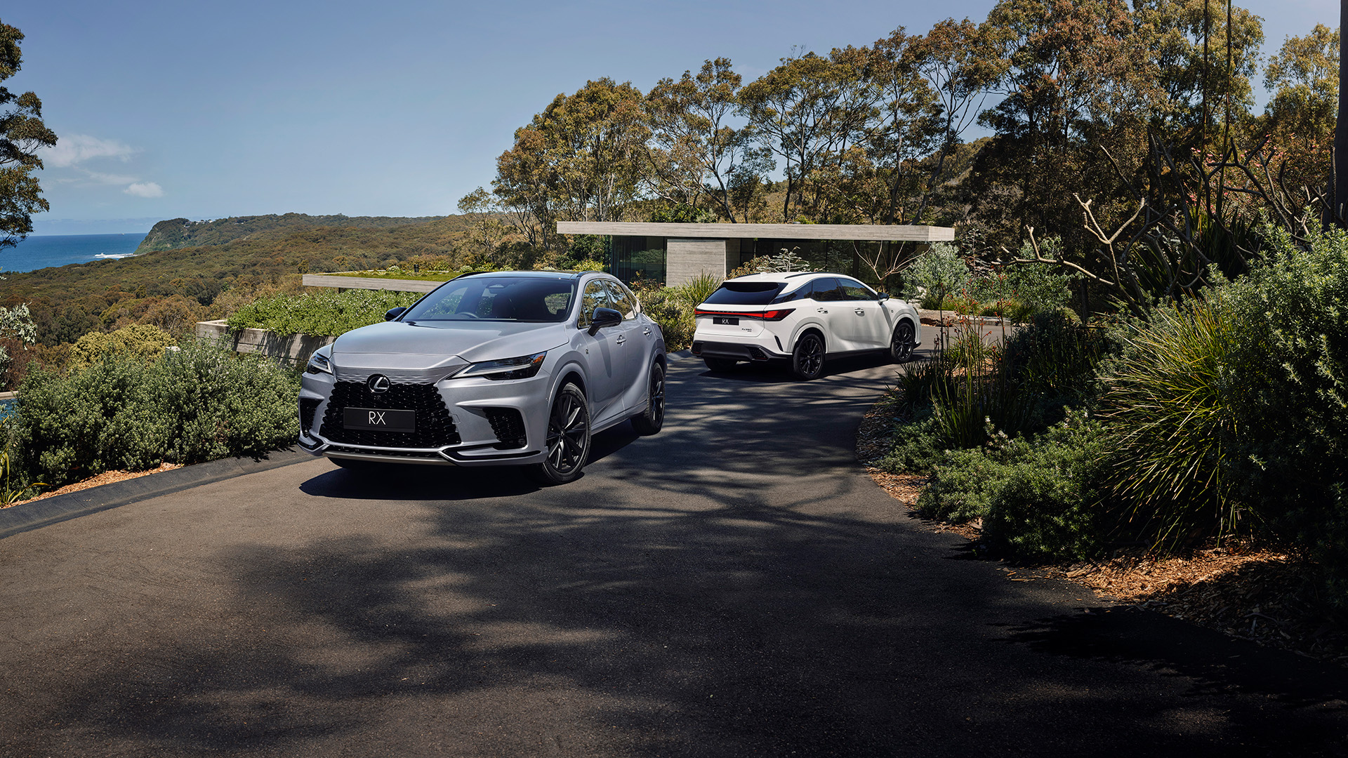 A silver and white Lexus RX sit together on a driveway that overlooks the ocean.