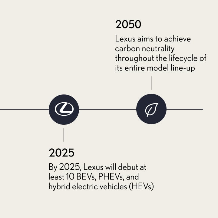 Timeline 4