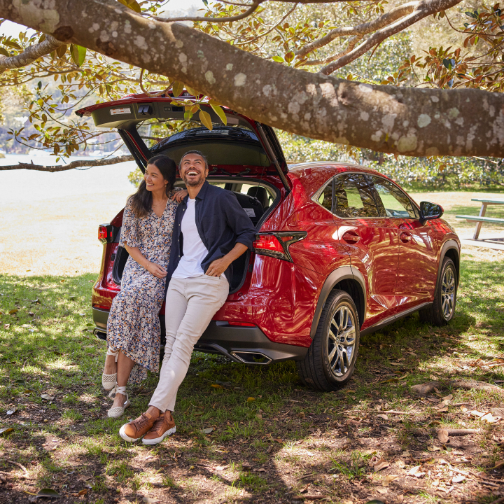 Find your away in the Lexus NX