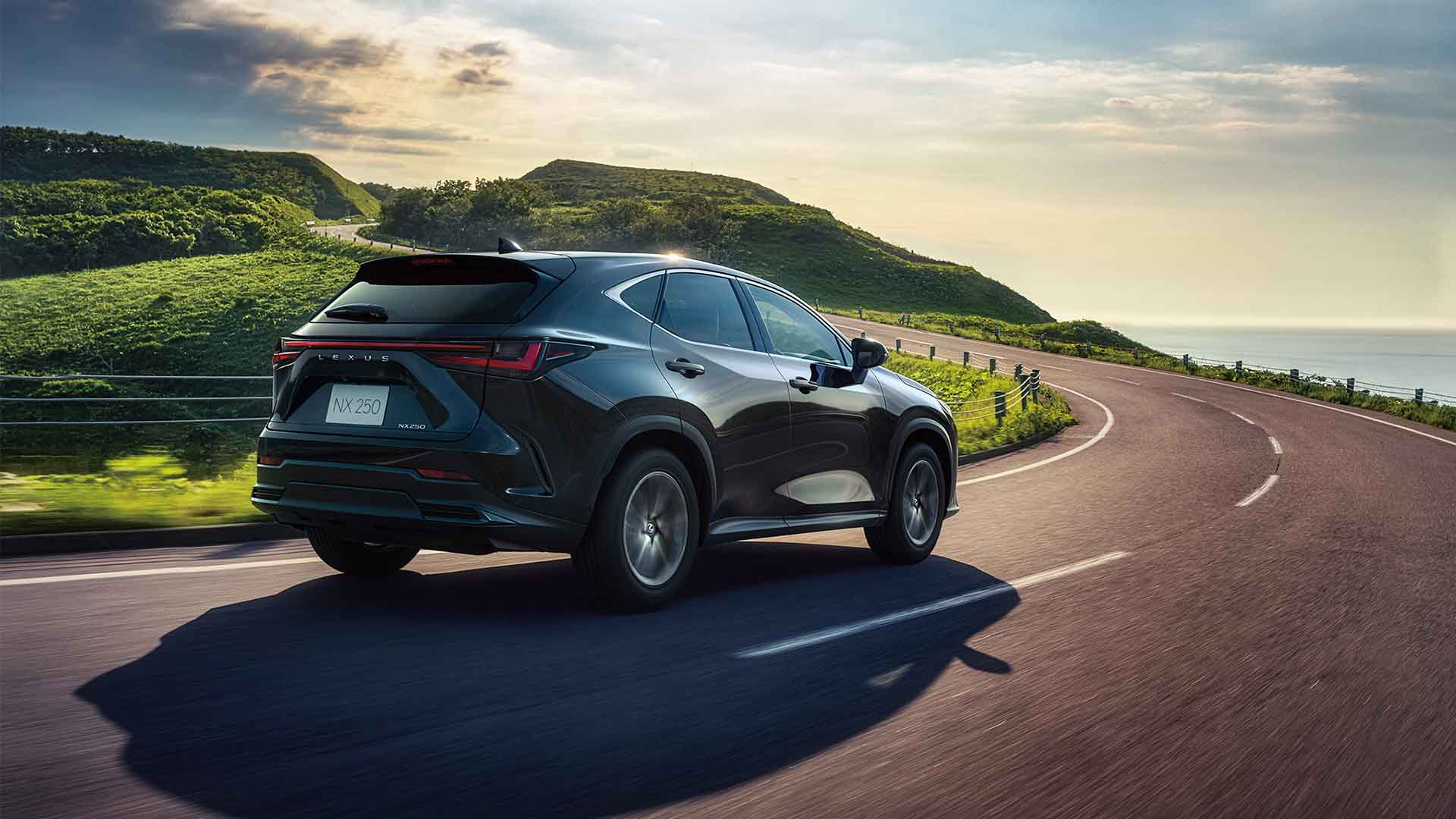 Lexus NX 250 (Overseas model shown.)