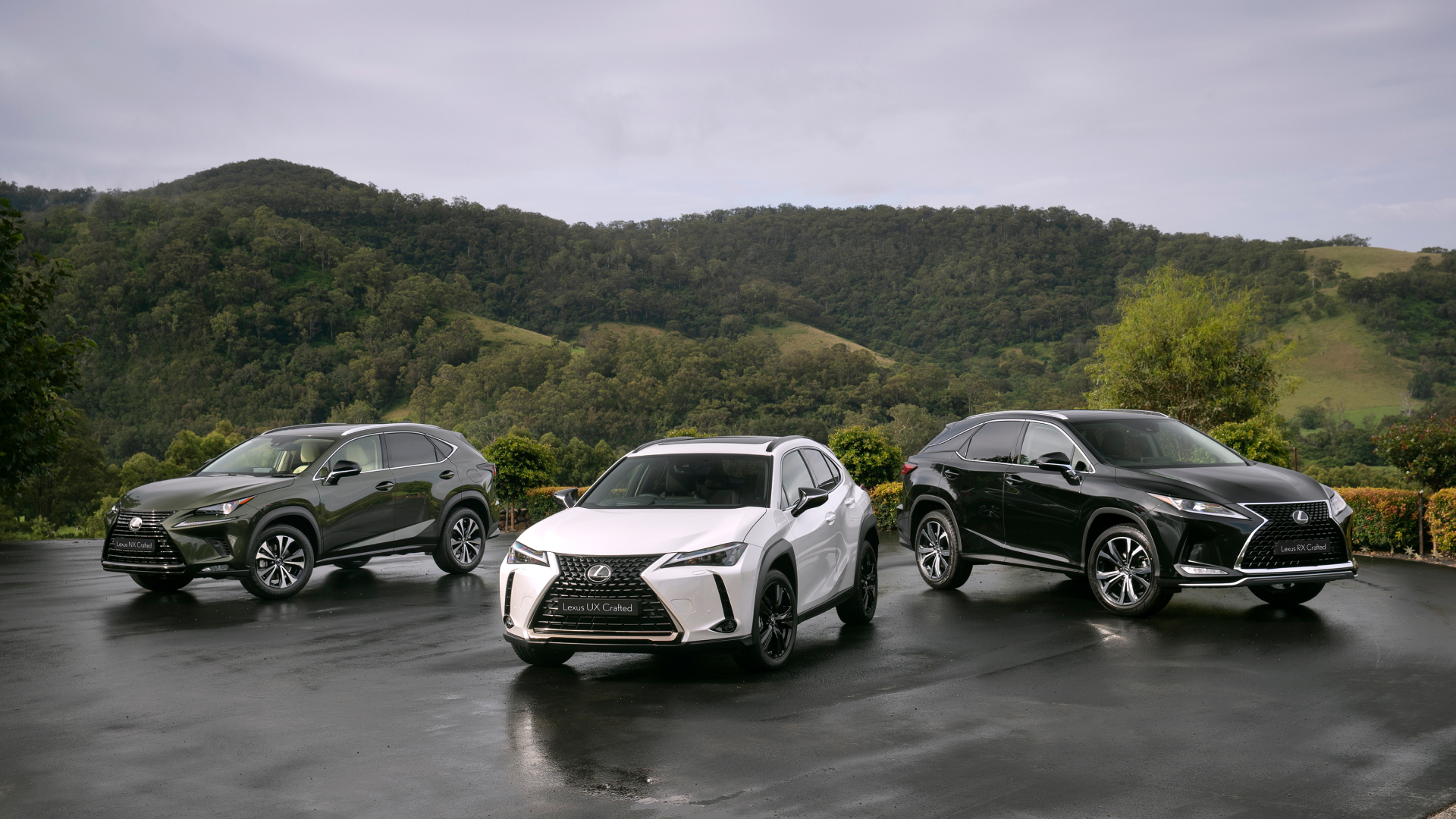(Left to right) 2021 Lexus NX 300 Crafted Edition, UX 200 Crafted Edition and RX 300 Crafted Edition in line, in front of rolling hills.